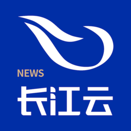 LS Official体验评测